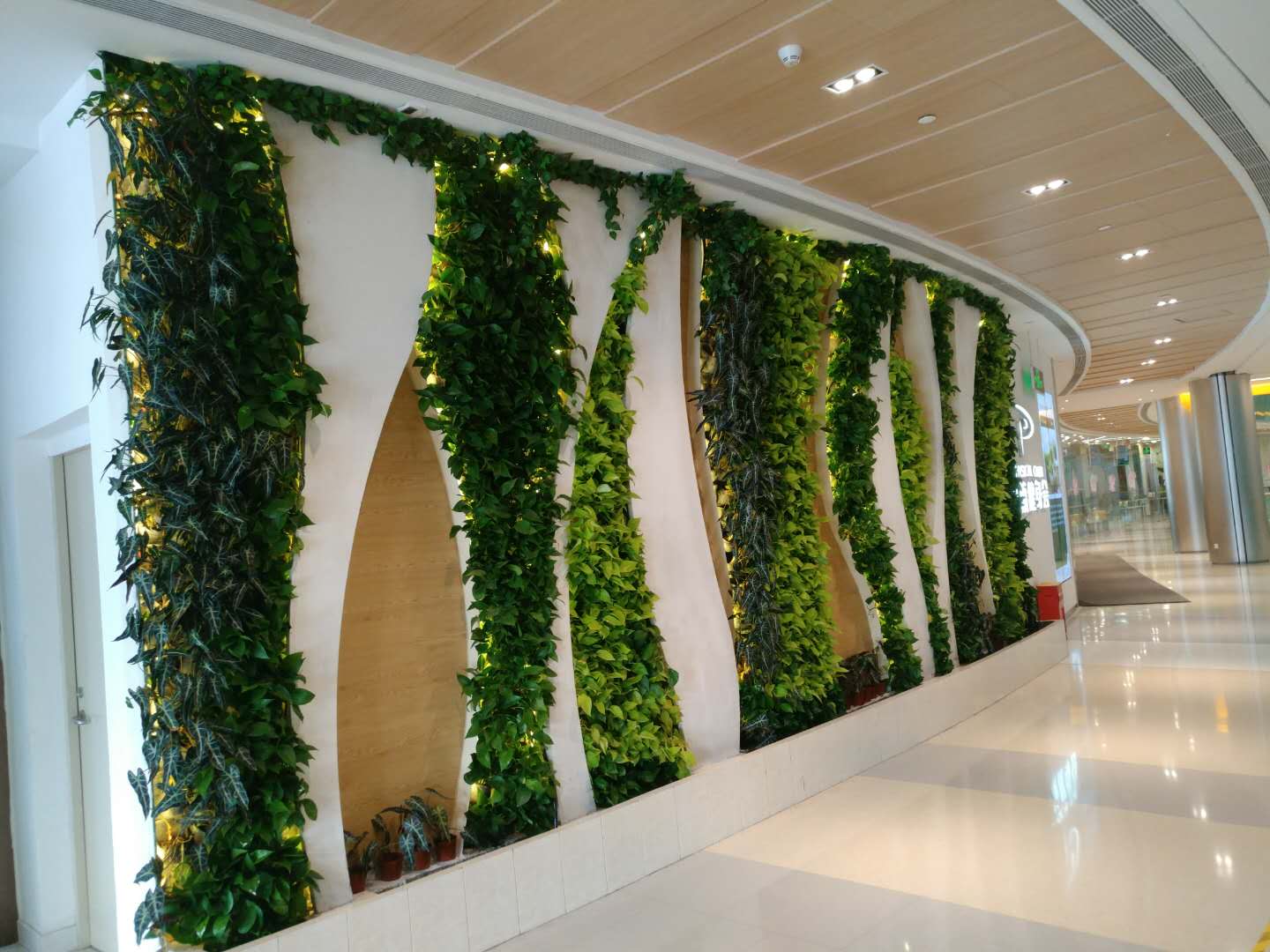 我国成功发射卫星互联网低轨08组卫星