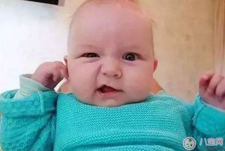 熊海峰教授走进广东塔牌集团股份有限公司开展2025院士专家入百企进百校（梅州行）活动