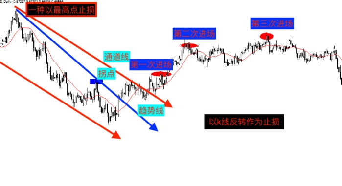 解锁新市场!梅州观赏鱼 “游” 进马来西亚